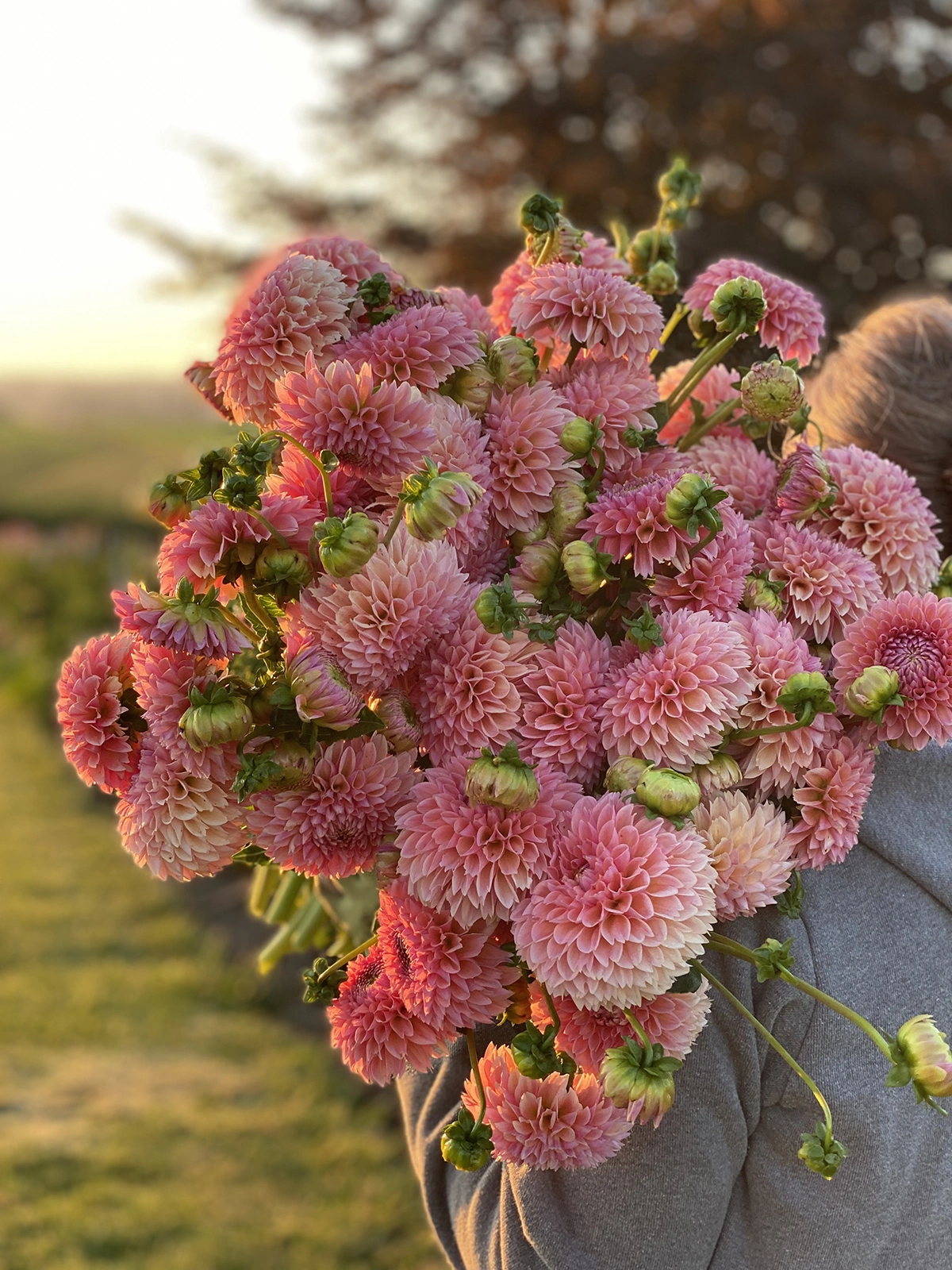 Linda's Baby Bouquet