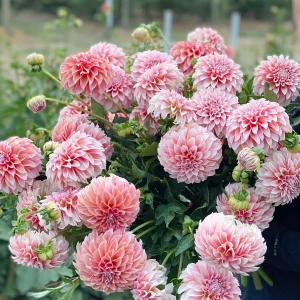 Peaches N Cream flower bouqet