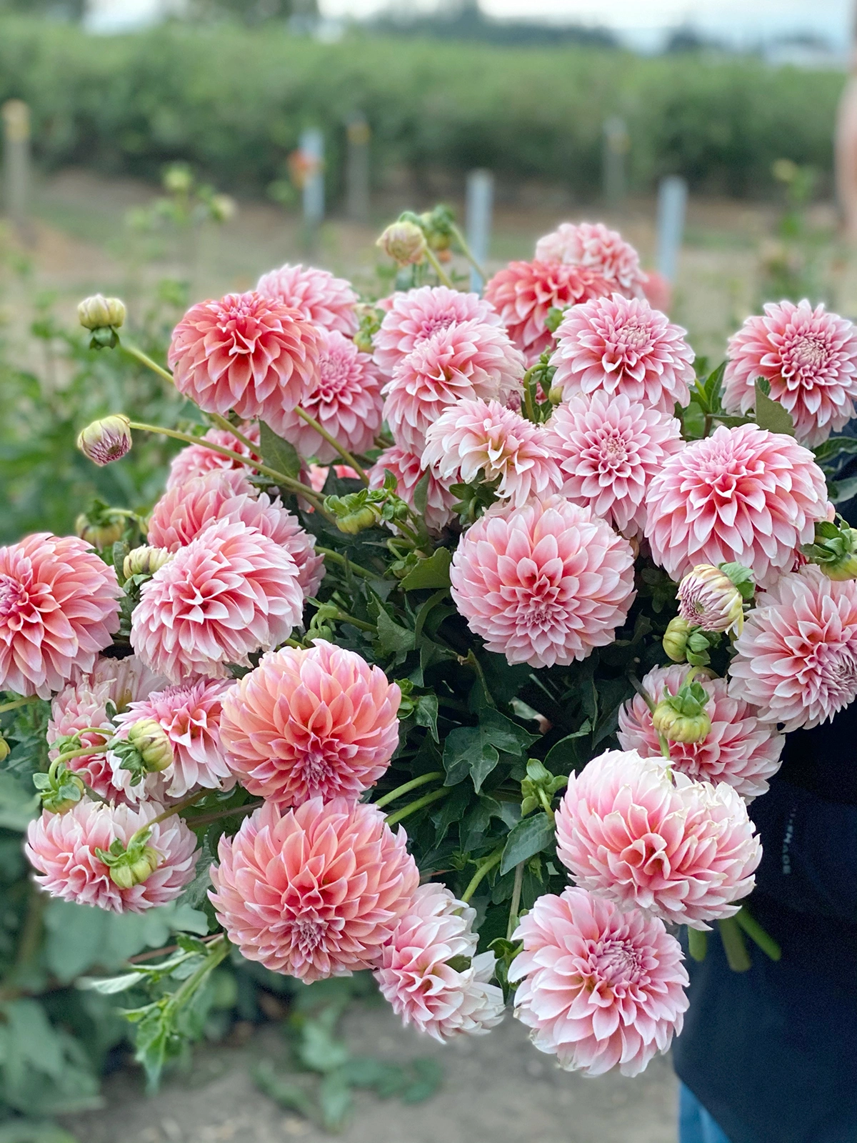 Peaches N Cream flower bouqet