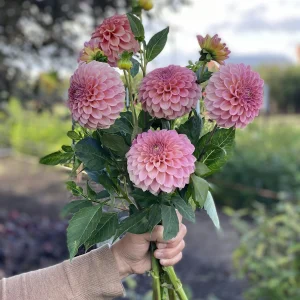 Rock Run Ashley flower bouquet with delicate seasonal blooms arranged in a natural garden style