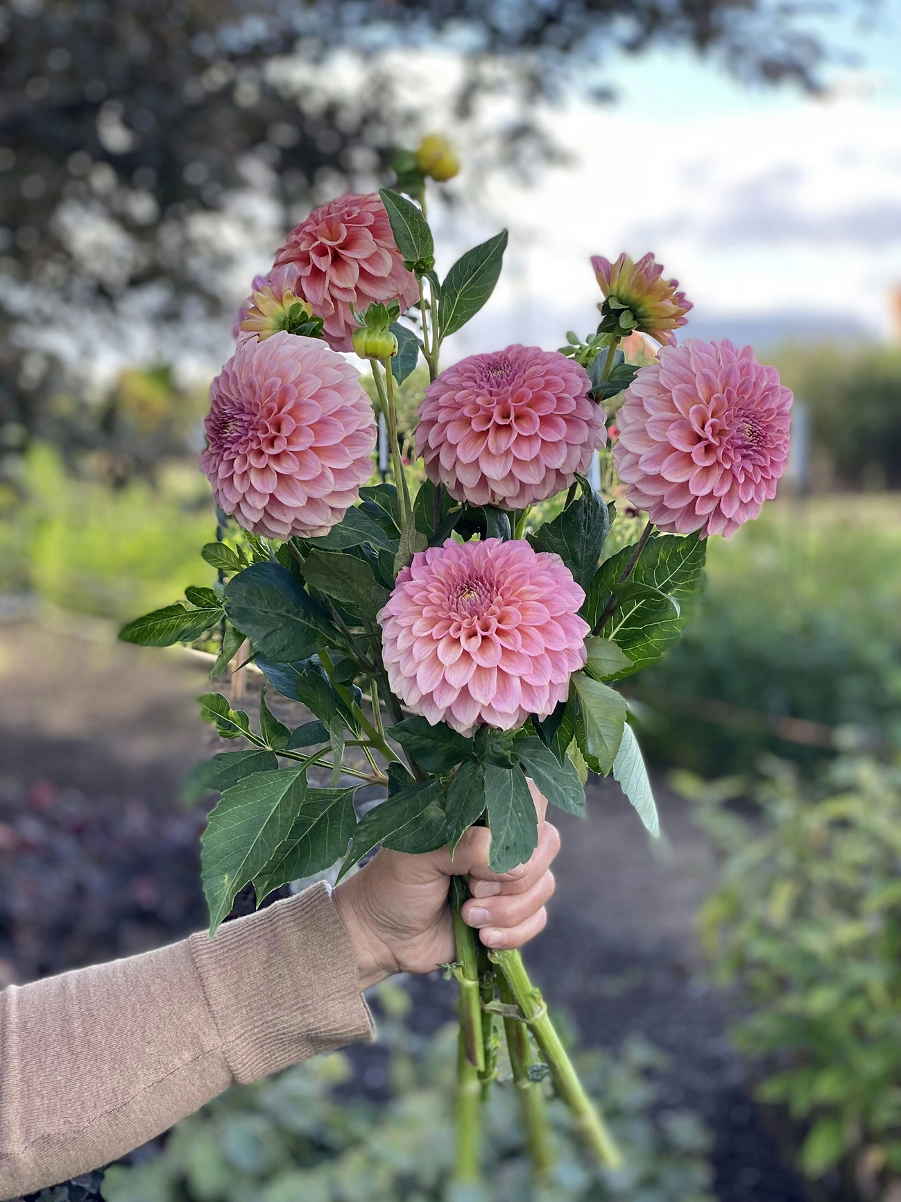 Rock Run Ashley flower bouquet with delicate seasonal blooms arranged in a natural garden style