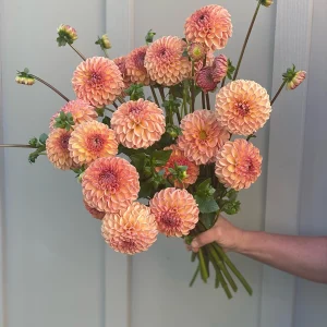 Valley Tawny bouquet with warm peach toned seasonal blooms arranged in a natural style